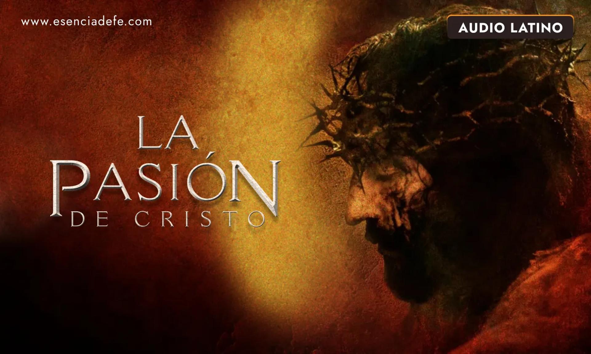 Película La Pasión de Cristo Español Película La Pasión de Cristo Español