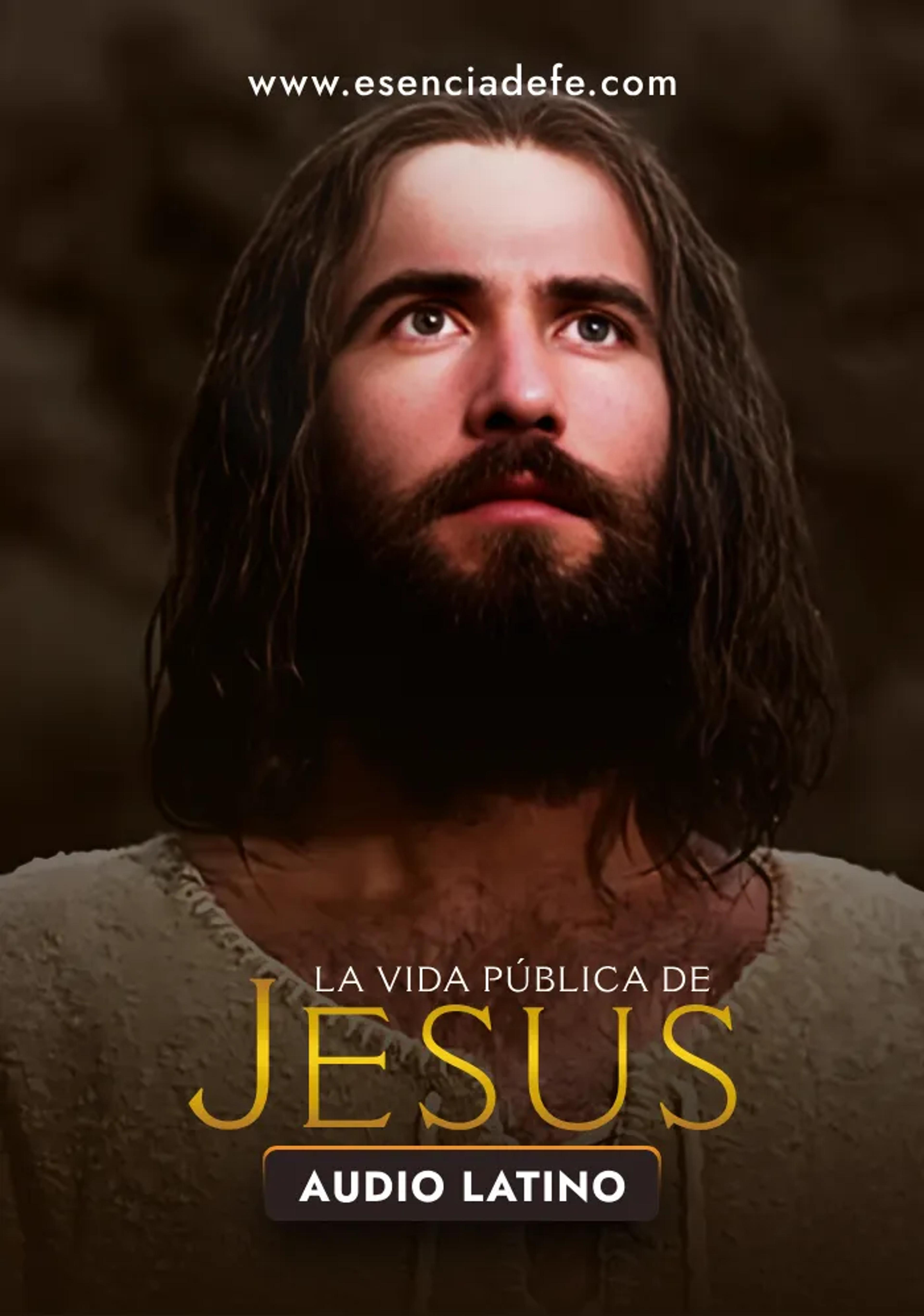 Película La Vida Pública de Jesús Español Película La Vida Pública de Jesús Español
