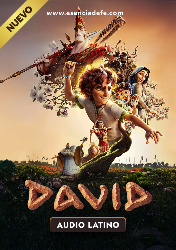David Película David